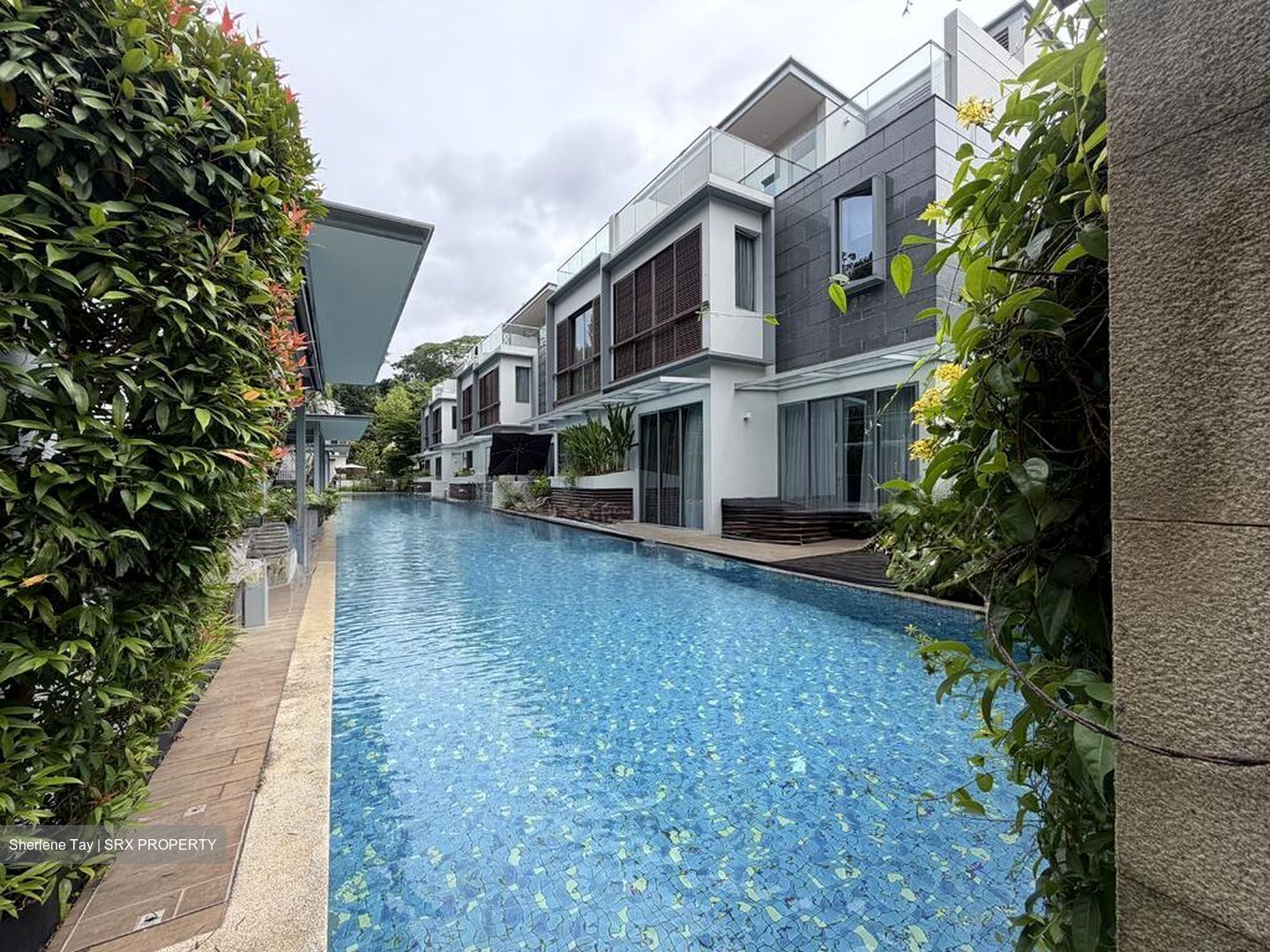 Greenwood Mews (D11), Terrace #519894481